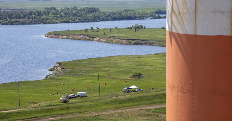 A distance image of SaskPower employees in a grassy field wearing orange planting trees with a river in the background. 