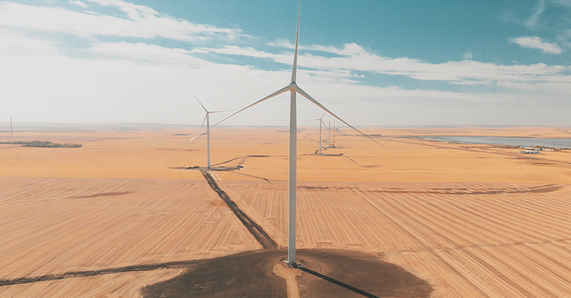 wind turbines in a field