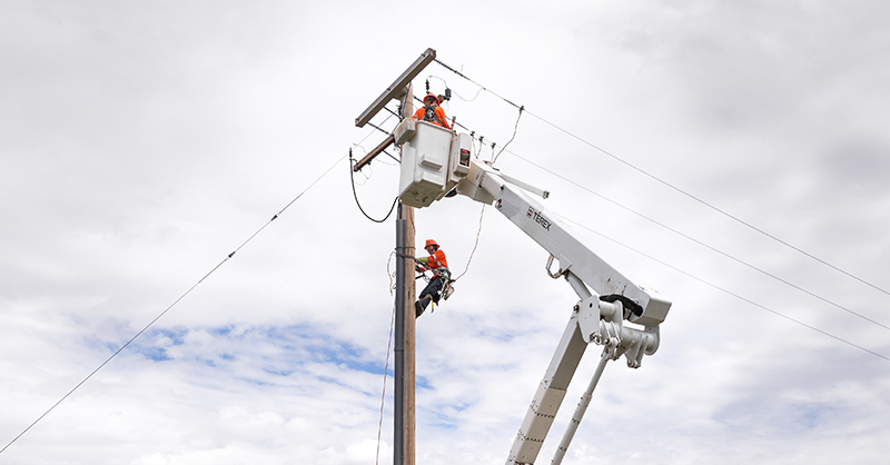 A female PLT climbing up a power pole, while the other is in a bucket truck.