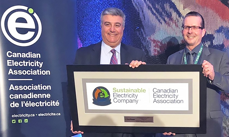 CEA Awarding Mike Marsh, CEO of SaskPower with the Sustainable Electric Company Award