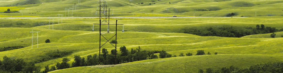 a green field with power poles