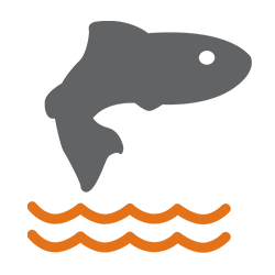 Fisheries