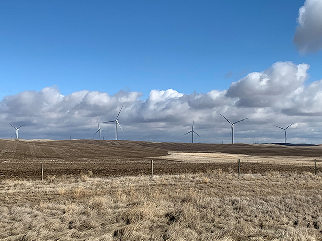 A row of wind turbines in a field with a blue sky and clouds.