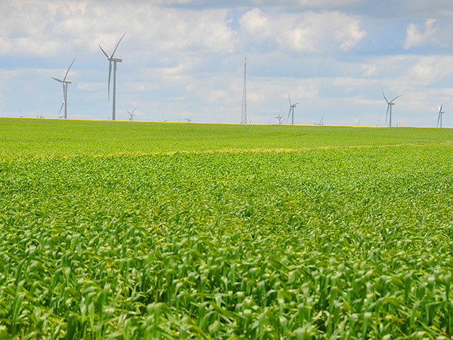 Green crops with wind turbines in the distance