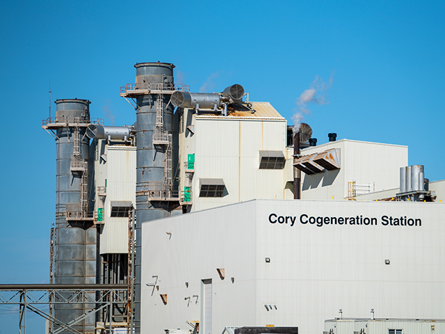 Cory Cogeneration Station 