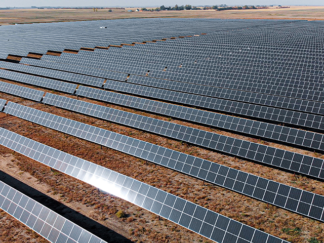 Rows of solar panels.