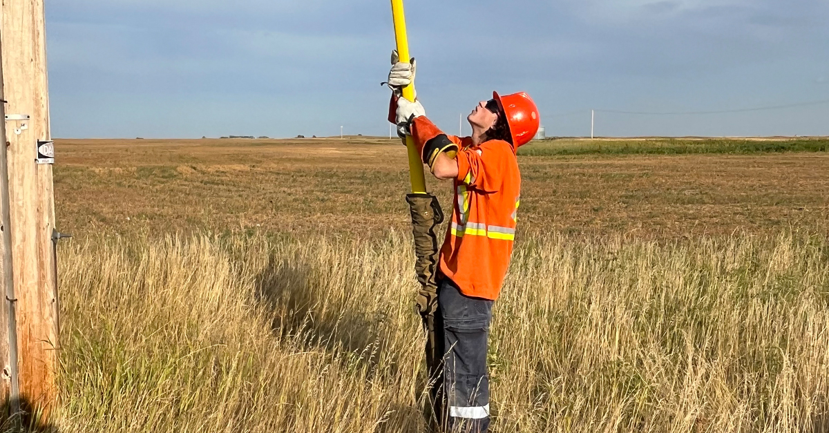 saskpower summer student working in the field