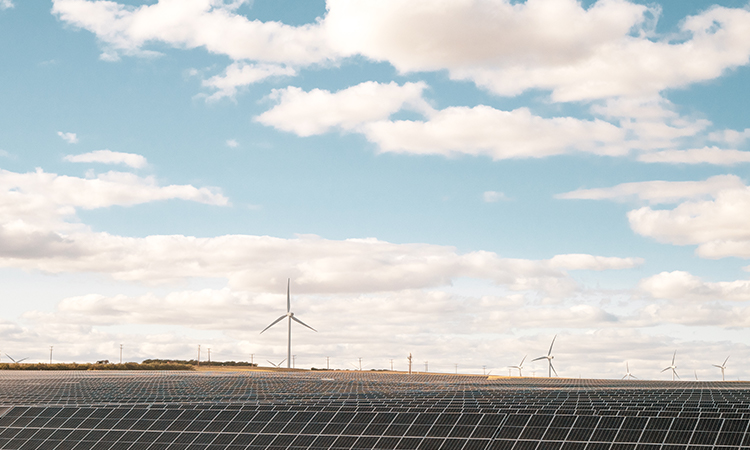 Rows of solar panels with wind turbines in the background.