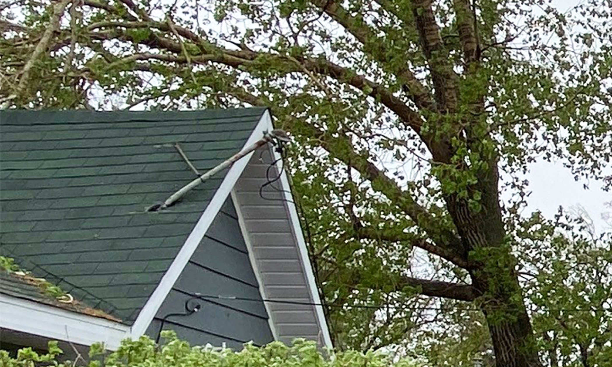 Service mast bent over on a roof with a tree in the background