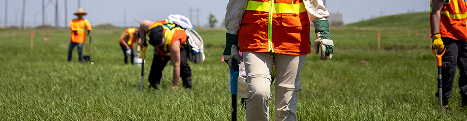 People in orange PPE in a grassy field.