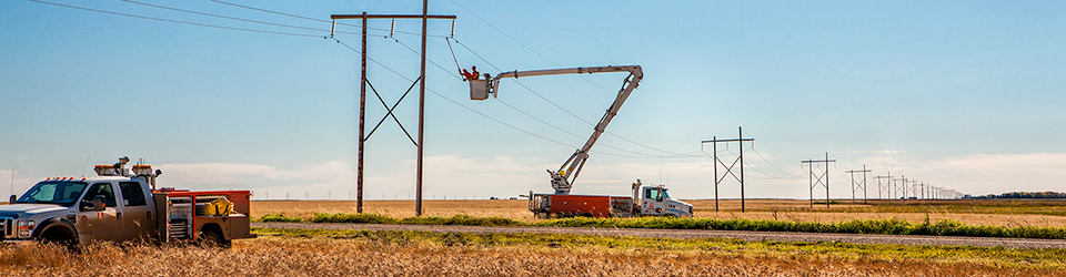 SaskPower trucks in a field