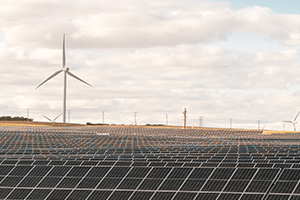 Rows of solar panels with wind turbines in the background. 