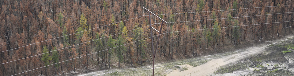 powerline in a northern area