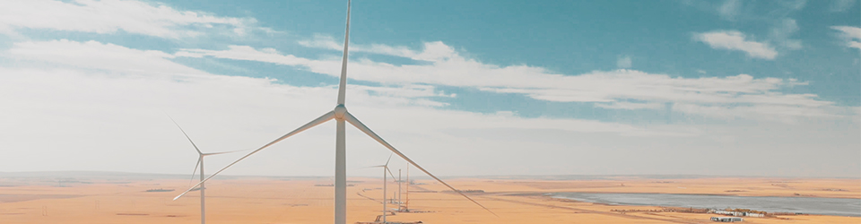 Wind turbines across a field.