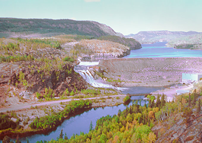 River and tree landscape