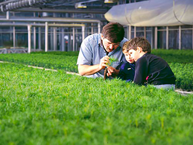 Employees in greenhouse